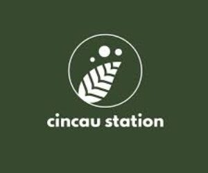 Franchise Cincau Station, Kemitraan Minuman Viral, Strategi Bisnis Franchise, Prospek Usaha, Majalah Franchise