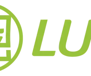 Franchise Luli, Keunggulan Bisnis Franchise, Modal Bisnis Kuliner, Tips Waralaba Untung, Majalah Franchise